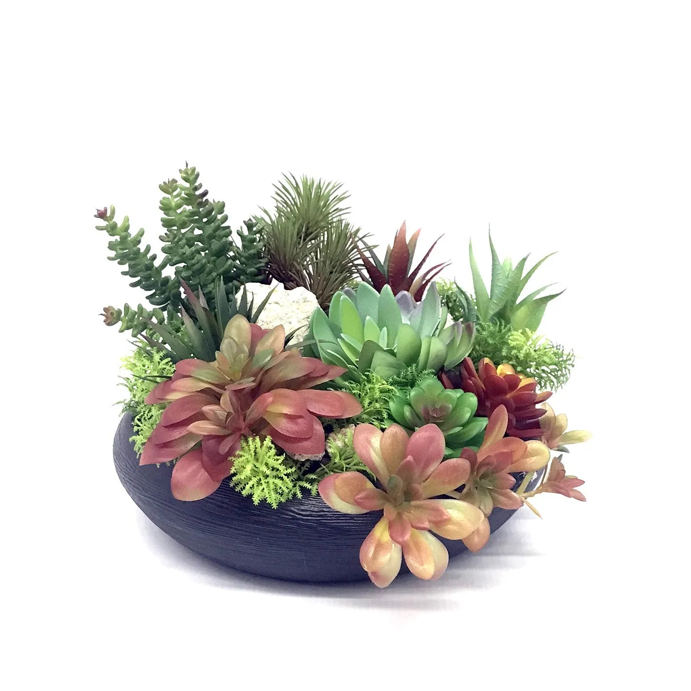 Articial Succulent Plant | ART47