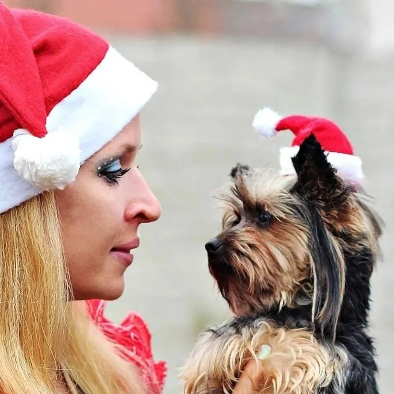 Festive Santa Claus Pet Hat