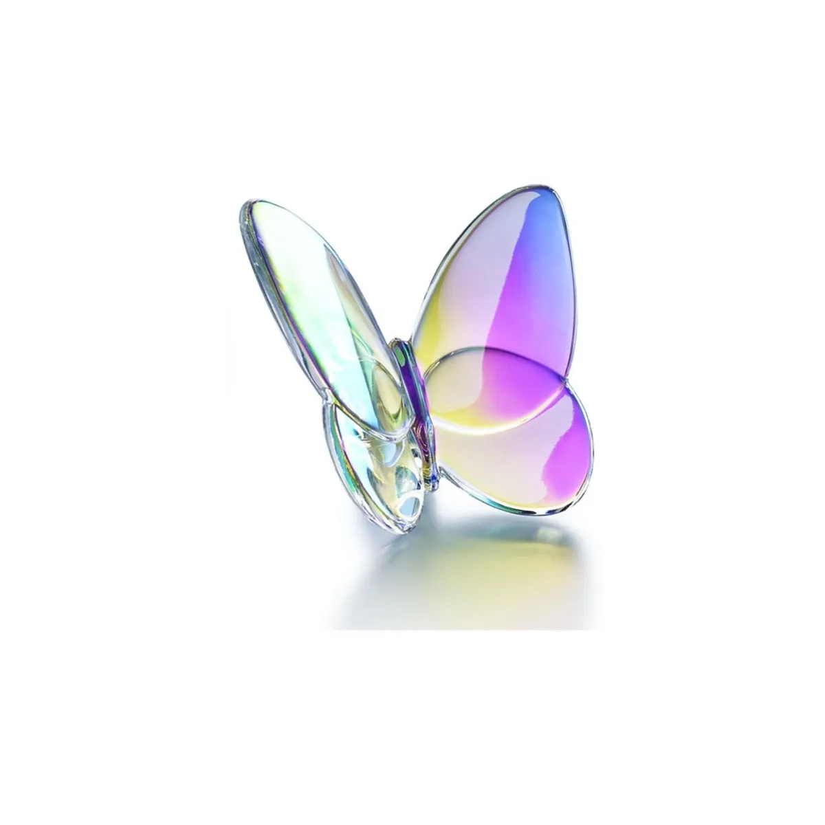 Iridescent Butterfly