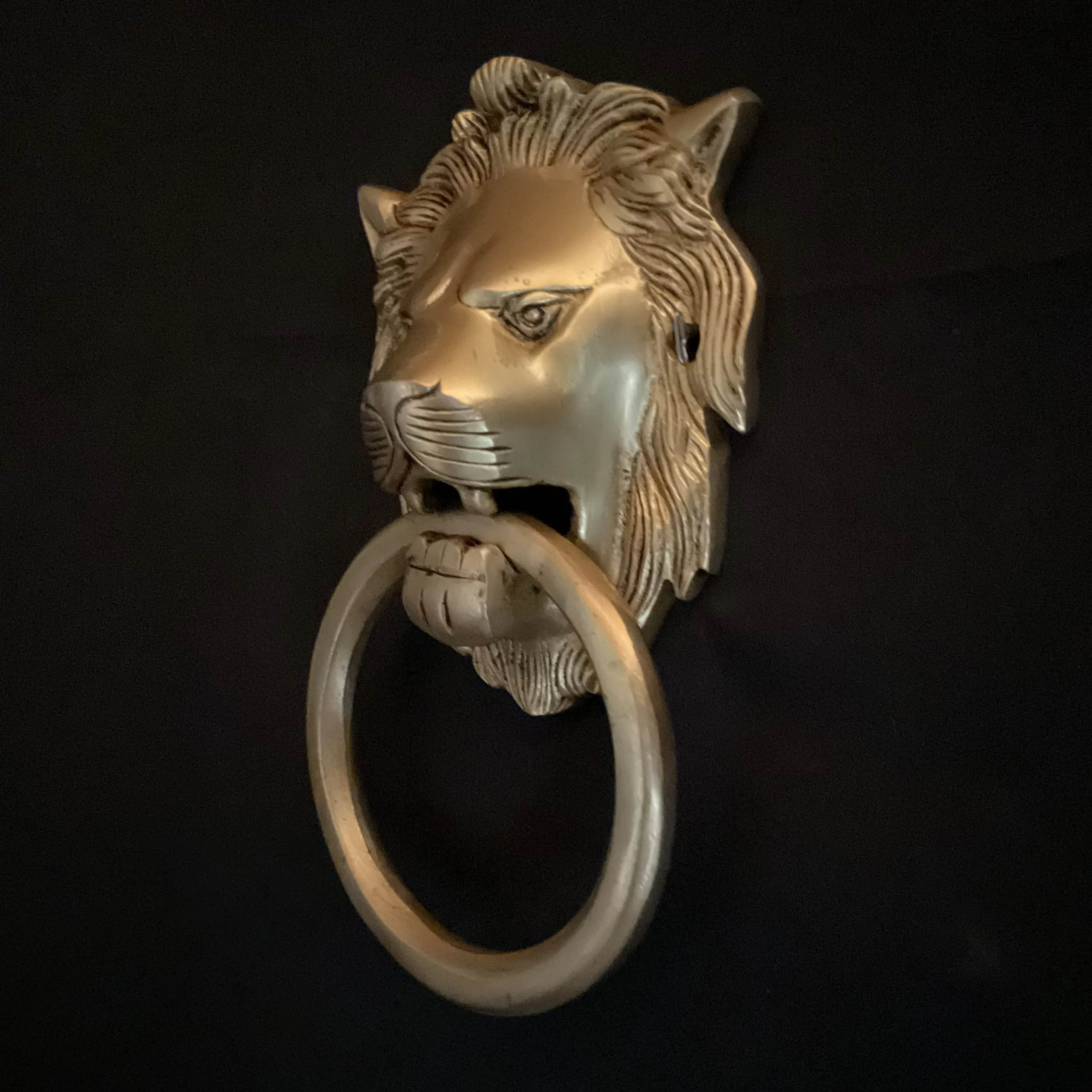 Lion Brass Door knocker Hanging - Home Decor